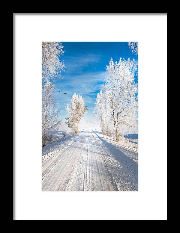 Snow Framed Print featuring the photograph White Morning by Philippe Sainte-Laudy