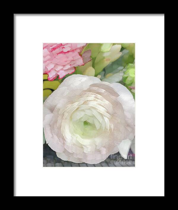 Abstract Framed Print featuring the photograph White rose pastel by Phillip Rubino