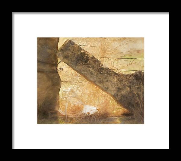 Kansas Framed Print featuring the photograph White-tail Deer 010 by Rob Graham