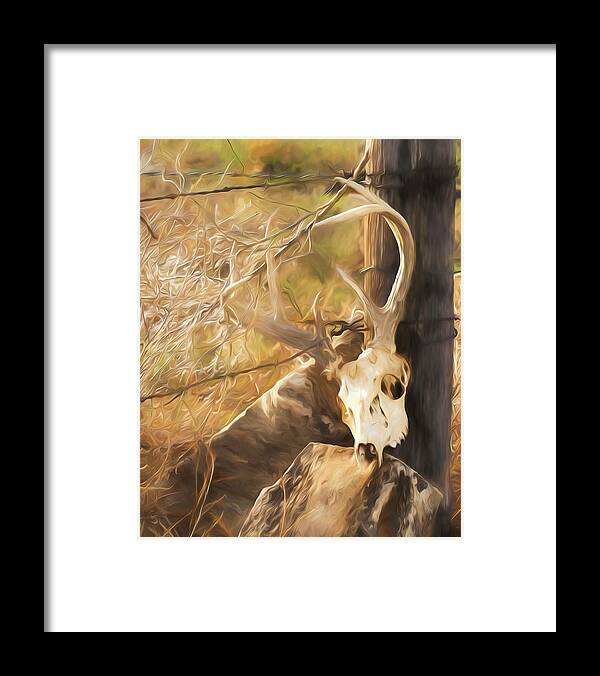 Kansas Framed Print featuring the photograph White-tail Deer 011 by Rob Graham