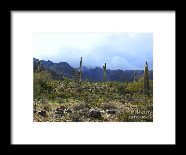 Arizona Framed Print featuring the photograph White Tanks Snow 1 by Carol Komassa