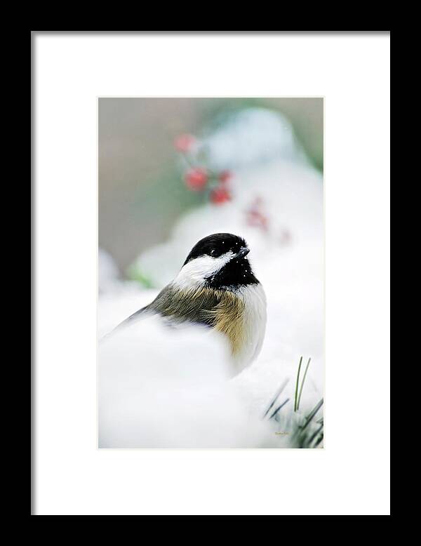 Chickadee Framed Print featuring the photograph White Winter Chickadee by Christina Rollo
