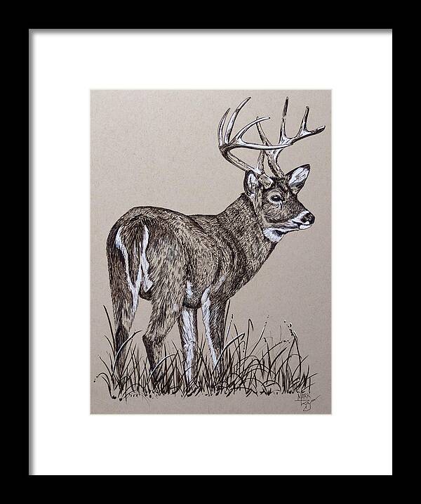 Deer Framed Print featuring the painting Whitetail Buck by Mark Ray