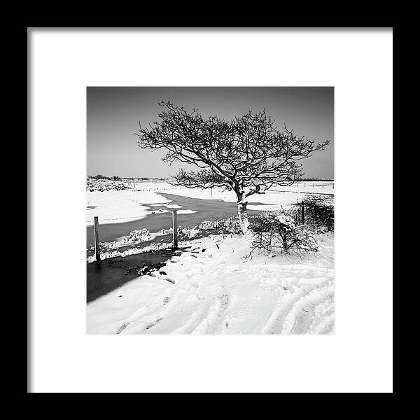 Wick Framed Print featuring the photograph Wick by Rob Cherry