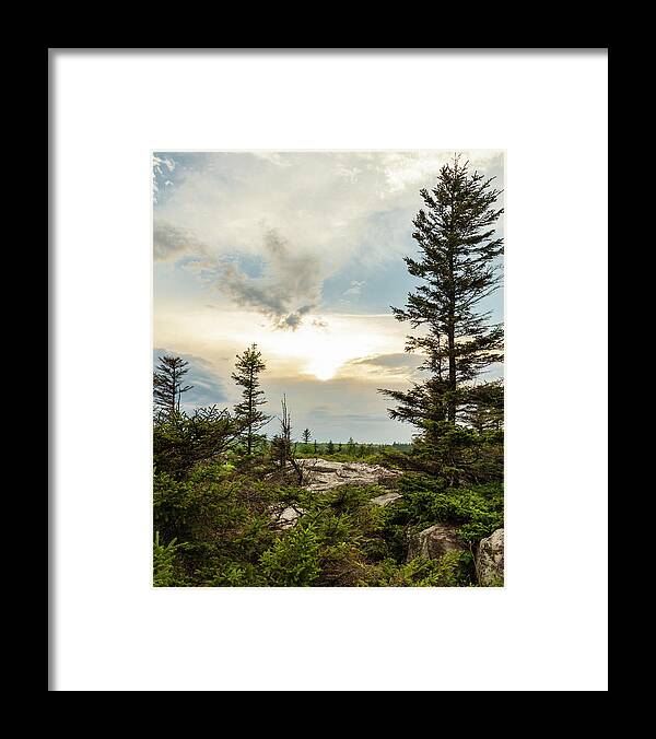 Bear Rocks Preserve Framed Print featuring the photograph Wild and Wonderful by SC Shank