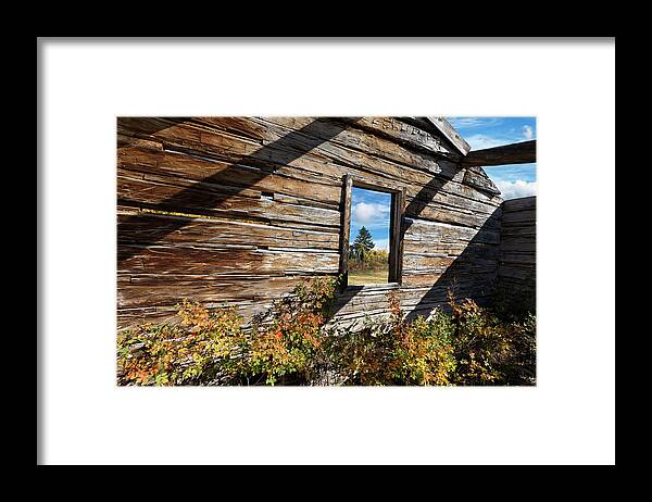 Grand Teton National Park Framed Print featuring the photograph Wild Autumn Roses in the Ruin by Kathleen Bishop