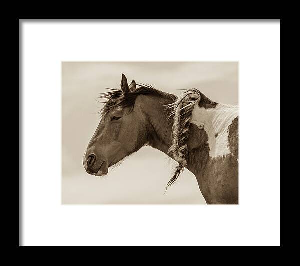 Wild Horses Framed Print featuring the photograph Wild Braids 2 by Mary Hone