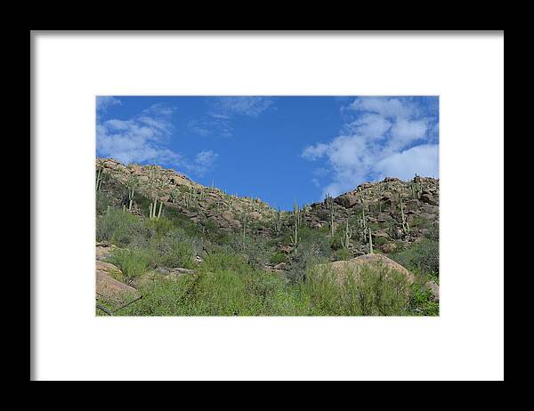 Arizona Framed Print featuring the photograph Wild Burro Canyon by Carolyn Mickulas