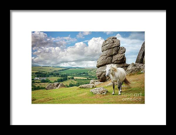 Horse Framed Print featuring the photograph Wild Dartmoor Pony by Delphimages Photo Creations