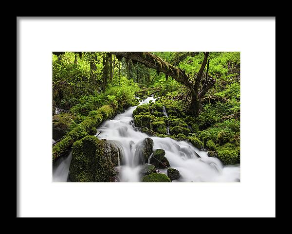 Scenics Framed Print featuring the photograph Wild Forest Waterfall Idyllic Green by Fotovoyager