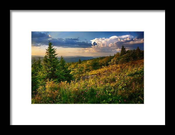 Light Framed Print featuring the photograph Wildflower Fields by Amanda Jones