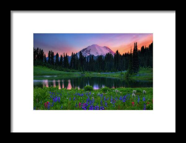 Mount Rainier Framed Print featuring the photograph Wildflower Glory by Judi Kubes
