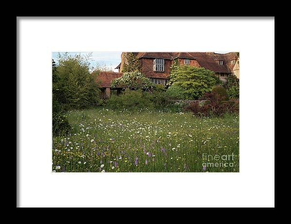 Wildflower Framed Print featuring the photograph Wildflower Meadow, Great Dixter by Perry Rodriguez