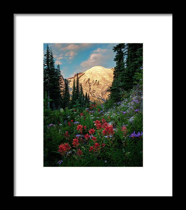 Mount Rainier Framed Print featuring the photograph Wildflower Morning on Mount Rainier by David Soldano