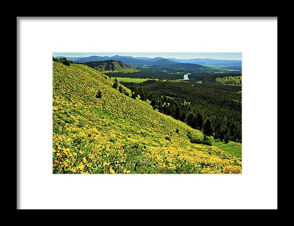 Outdoors Framed Print featuring the photograph Wildflower Mountain In Wyoming by Jeff R Clow
