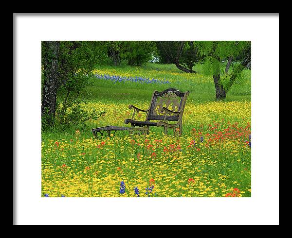 Texas Wildflowers Framed Print featuring the photograph Wildflower Retreat by Johnny Boyd
