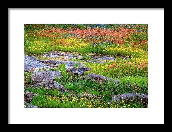 Texas Wildflowers Framed Print featuring the photograph Wildflower Rock by Johnny Boyd