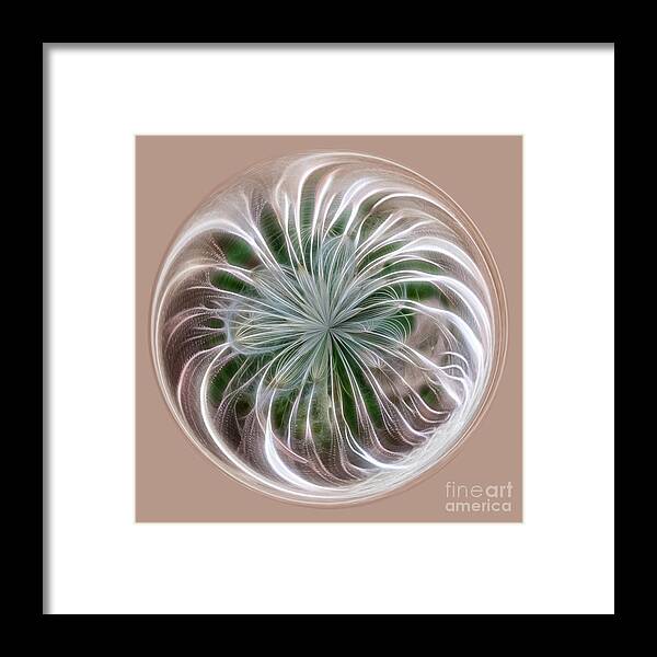 Orb Framed Print featuring the photograph Willow Org by Phillip Rubino