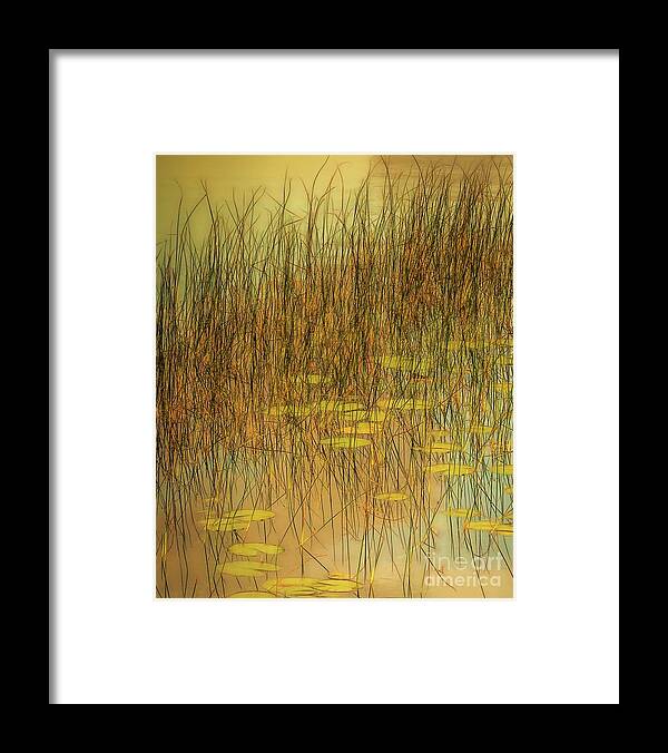  Framed Print featuring the photograph Willow Song by Hugh Walker