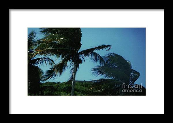 Windy Day In St. Thomas Framed Print featuring the photograph Windy Day In St. Thomas by Barbra Telfer
