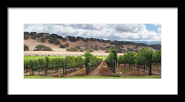 Scenics Framed Print featuring the photograph Wine Country Scenic by S. Greg Panosian
