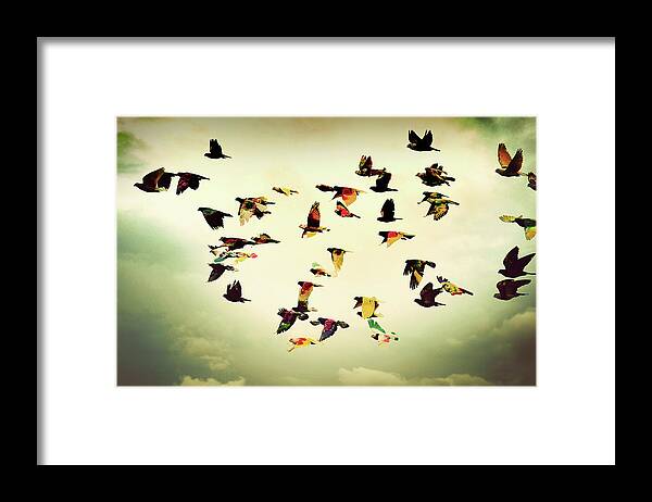 Animal Themes Framed Print featuring the photograph Wings Of Colors by Manuel Orero Galan