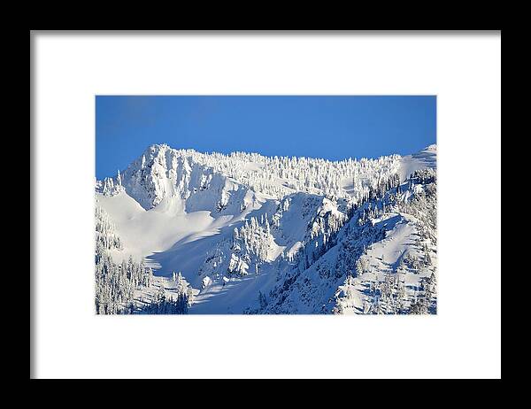 Snow Framed Print featuring the photograph Winter by Dorrene BrownButterfield