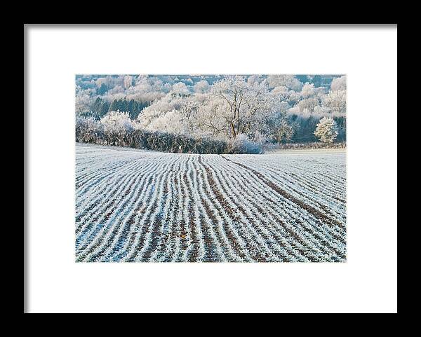 Cotswolds Framed Print featuring the photograph Winter field, Little Rissington, Gloucestershire by David Ross