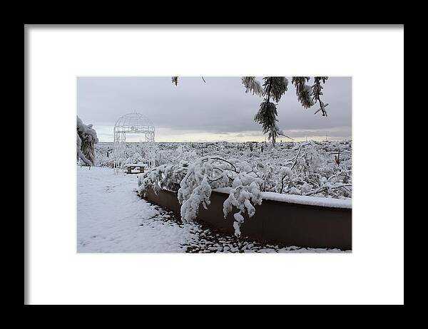 Winter Framed Print featuring the photograph Winter in Arizona No.1 by Kume Bryant