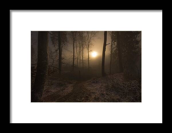 Winter Framed Print featuring the photograph Winter Sunrise by Norbert Maier