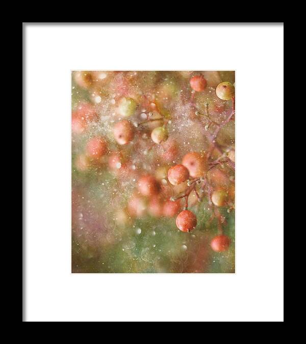 Merry Christmas Framed Print featuring the photograph Winter-time by Delphine Devos