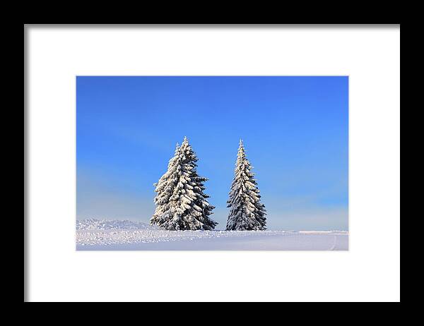 Scenics Framed Print featuring the photograph Winter Trees by Borchee