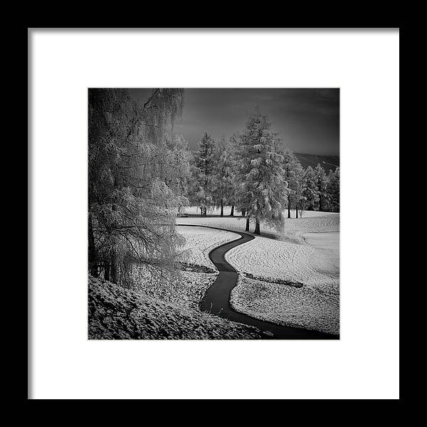Snow Framed Print featuring the photograph Winter Walk - 2 by Vroniques
