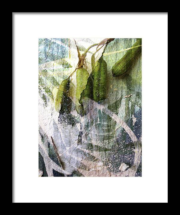 Swamp Framed Print featuring the photograph Wistful Might Have Been by Char Szabo-Perricelli