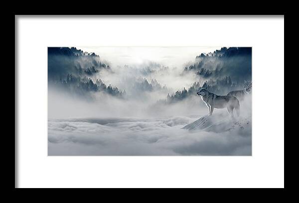 Photo Framed Print featuring the photograph Wolfs in the snow by Top Wallpapers