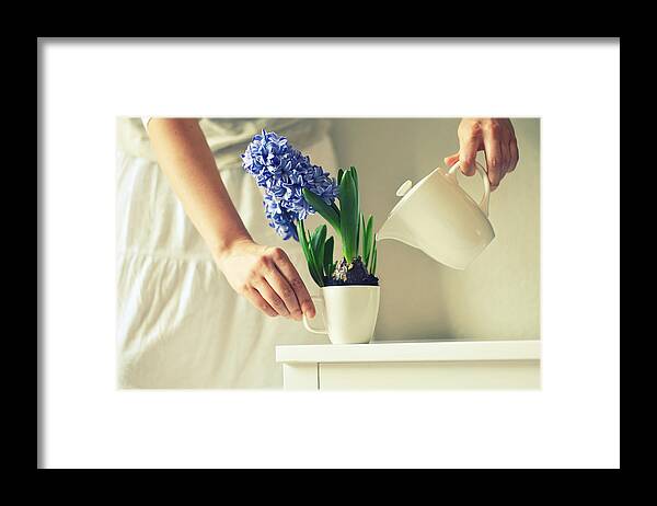 People Framed Print featuring the photograph Woman Watering Blue Hyacinth by Photo By Ira Heuvelman-dobrolyubova