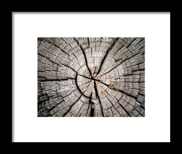 Pole Framed Print featuring the photograph Wood Pole by Lisay