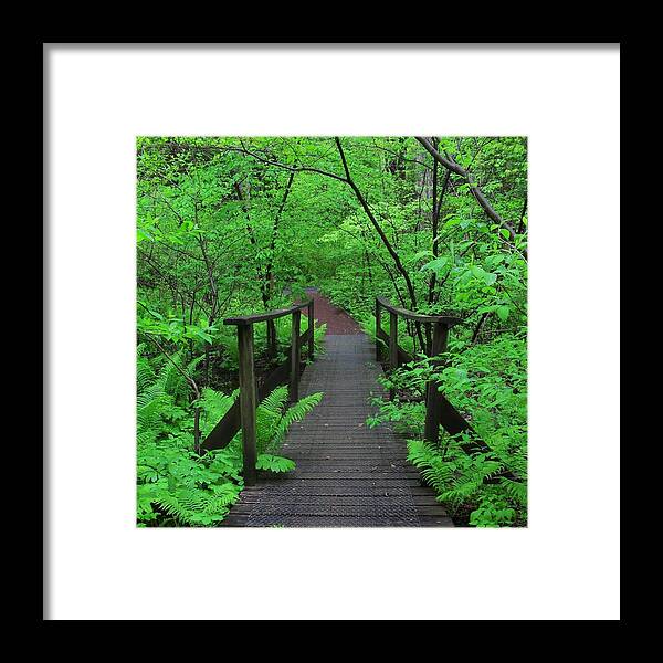 Wooden Foot Bridge Framed Print featuring the photograph Wooden Foot Bridge by Val Arie