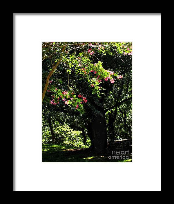 Summer Framed Print featuring the photograph Woodland Serenity No.2 by Steve Ember