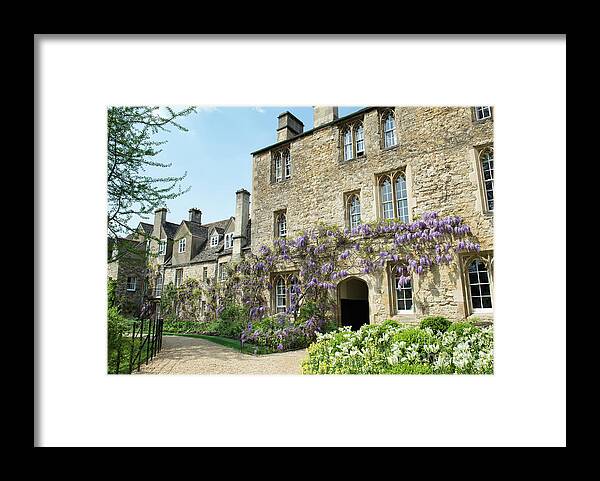 Japanese Framed Print featuring the photograph Worcester College Wisteria Oxford by Tim Gainey