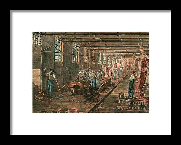 Art Framed Print featuring the photograph Workers In Meat Packing House by Bettmann