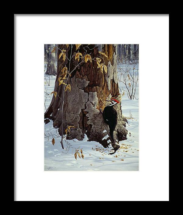 Pileated Woodpecker Pecking Into A Tree Framed Print featuring the painting Working The Base by Wilhelm Goebel