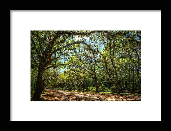 Spanish Framed Print featuring the photograph Wormsloe Plantation Tree Tunnel by Owen Weber