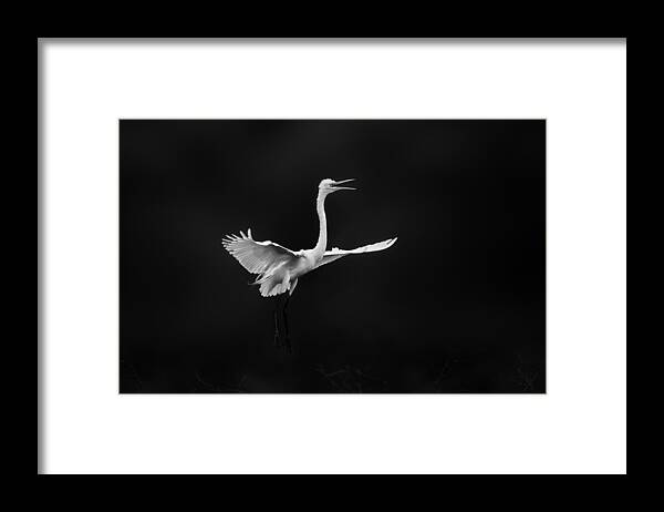 Nature Framed Print featuring the photograph Yelling by Rob Li