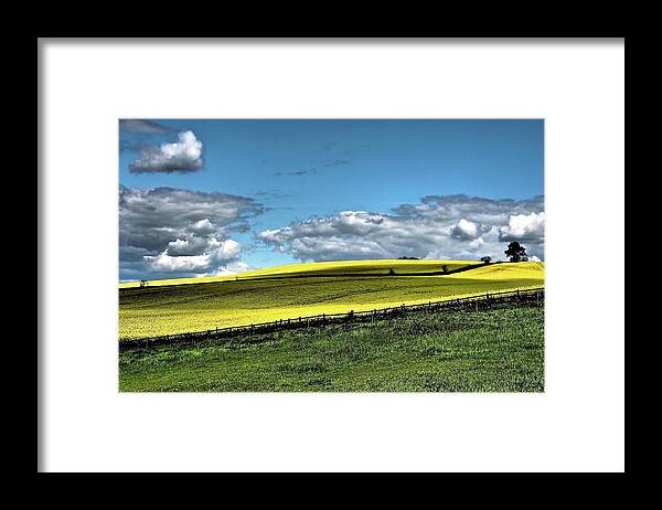 Nottinghamshire Framed Print featuring the photograph Yellow And Green Field by Flick's Pix