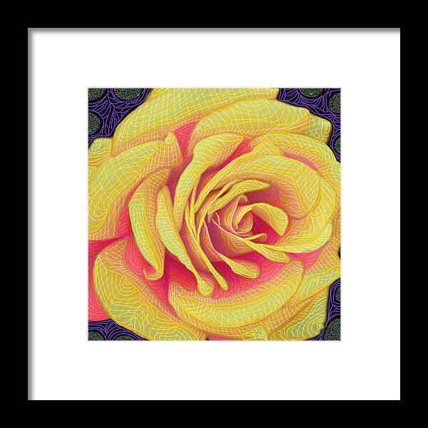 Rose Framed Print featuring the digital art Yellow Beauty by Rod Whyte