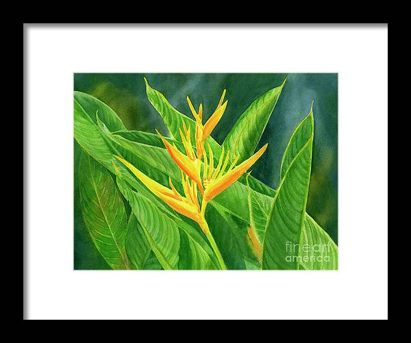 Yellow Framed Print featuring the painting Yellow Heliconia Paradise with Leaves by Sharon Freeman