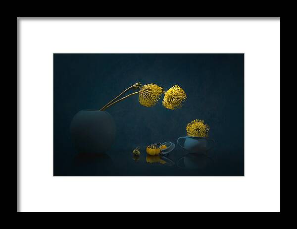 Yellow Framed Print featuring the photograph Yellow Leucospermum by Lydia Jacobs
