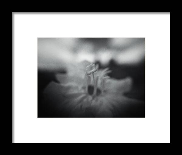 Flower Framed Print featuring the photograph Yellow by Mark Ross