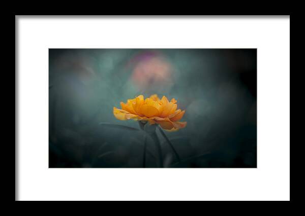Macro Framed Print featuring the photograph Yellow by Sabriamin M